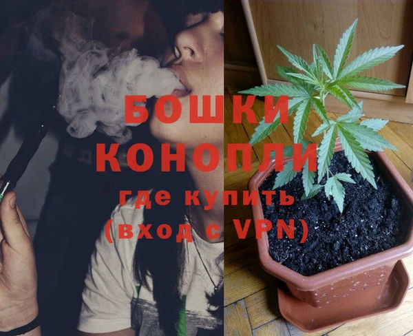 стафф Аркадак