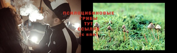 дмт Арсеньев