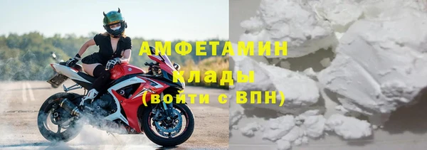 стафф Аркадак