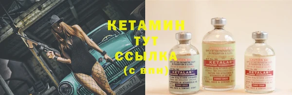 стафф Аркадак