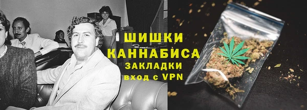 дмт Арсеньев