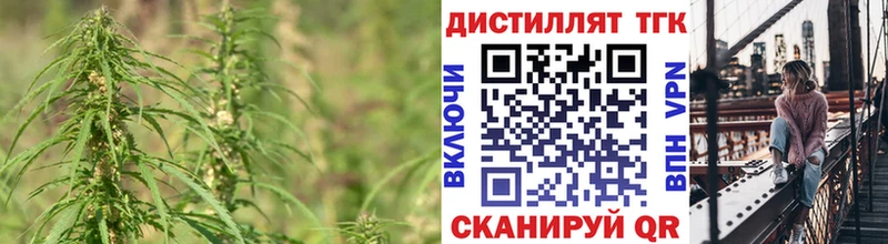 ТГК THC oil  Терек 